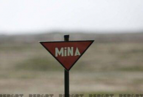 В МЧС обратились к гражданам в связи с минной угрозой