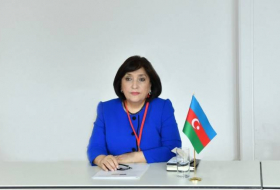 Сахиба Гафарова: Продолжаются работы по модернизации армии Азербайджана