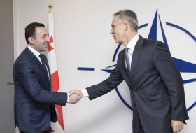 Гарибашвили: Грузия готова ко вступлению в НАТО