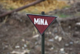 Агентство по разминированию: На освобожденных территориях обнаружено 20 мин