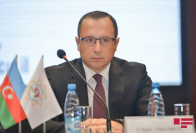 Поданные в ЕСПЧ иски Азербайджана в связи с преступлениями Армении находятся на стадии исполнения