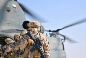 США помогли ОАЭ перехватить ракеты хуситов над Абу-Даби