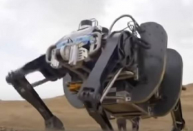 В Китае создали огромного военного робота-яка - Видео