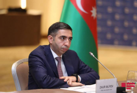 Заур Алиев: Наша работа с турецкими больницами по оказанию помощи участникам войны продолжается