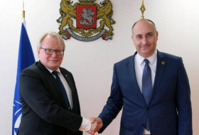 Министр обороны Грузии встретился с министром обороны Швеции