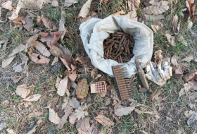 В Самухе на территории парка обнаружены боеприпасы