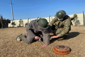 Турецкие саперы обучают азербайджанских военнослужащих 