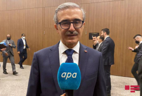 Глава Управления оборонпрома Турции: Сотрудничество с Азербайджаном носит стабильный характер
