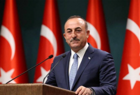 Турция поддержала предложение Азербайджана Армении о мире