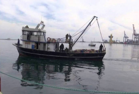 Турция ограничила рыбную ловлю в части акватории Черного моря - мины