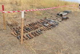 Aгентство по разминированию: В прошлом месяце на освобожденных территориях было обнаружено 165 мин