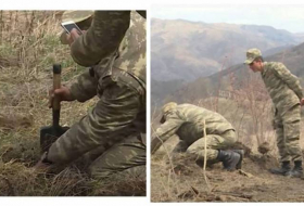 Госкомитет: Солдат Ашуров предотвратил серьезную трагедию в Кельбаджаре - Фото