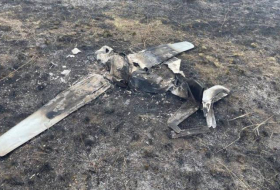 За сутки ВС Украины уничтожили 3 российских БПЛА и крылатую ракету