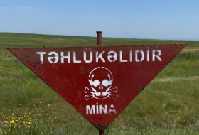 На освобожденных территориях обнаружены 172 мины
