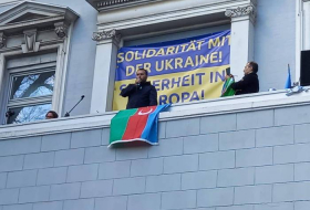 Азербайджанцы поддержали Украину в Гамбурге - Фото