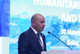 Глава ANAMA: Международная конференция по разминированию в Баку прошла плодотворно