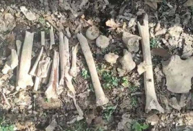 В селе Фаррух обнаружены останки еще нескольких азербайджанцев - Видео