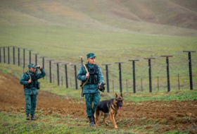 В прошлом месяце задержаны 97 нарушителей пограничного режима Азербайджана