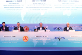 Члены ПА НАТО обсуждают в Стамбуле вызовы на фоне войны в Украине