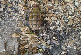 В Сумгайыте обнаружена ручная граната Ф-1 