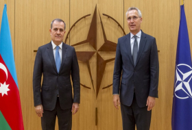 Глава МИД Азербайджана встретился с генсеком НАТО