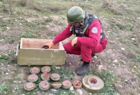 Агентство по разминированию: На прошлой неделе на освобожденных территориях было обнаружено 236 мин