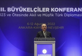 Чавушоглу: Усилия по зерновому соглашению стали «витриной» турецкой дипломатии