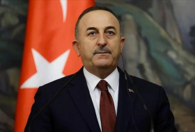 Чавушоглу: Турция за территориальную целостность Сирии