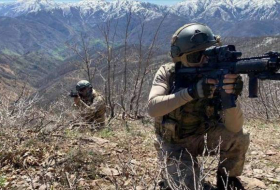 Турецкая армия нейтрализовала 13 террористов на севере Сирии