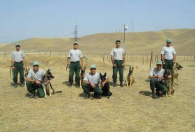 США предоставят Азербайджану дополнительное количество собак-миноискателей