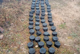 За последние десять дней в Лачыне и Кяльбаджаре обнаружены 72 мины