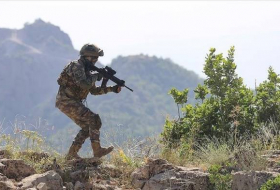 Турецкая армия нейтрализовала 10 террористов на севере Сирии