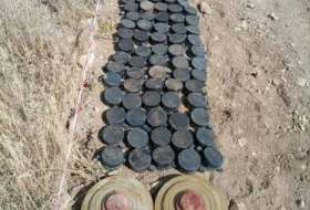 Обезврежены мины, обнаруженные в Кяльбаджаре и Дашкесане - Видео