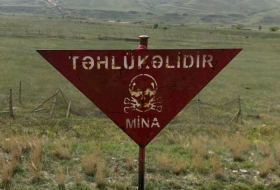 Главы ряда НПО выступили с заявлением в связи с минной опасностью в Азербайджане