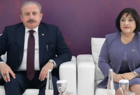 Спикеры парламентов Турции и Азербайджана обсудили восстановление Карабаха