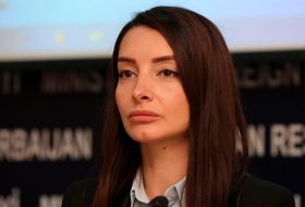 Лейла Абдуллаева: До сих пор в Армении никто не привлечен к ответственности за обстрелы Гянджи