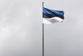 Эстония расширит охраняемую зону на границе с Россией в 30 раз