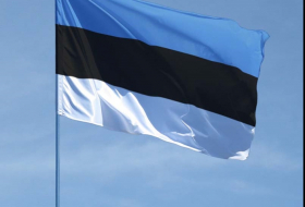 В Эстонии хотят выйти из конвенции о запрете противопехотных мин