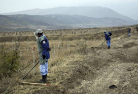 ANAMA: Стремимся ускорить очистку освобожденных земель от мин