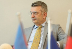 Посол Германии: Восстановление Карабаха является проектом поколений