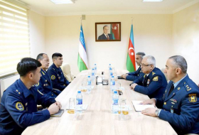 Обсуждено сотрудничество в сфере ПВО между Азербайджаном и Узбекистаном