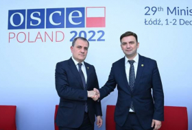 Глава МИД Азербайджана и будущий председатель ОБСЕ обсудили сотрудничество в рамках организации