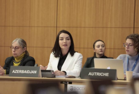 Лейла Абдуллаева на международном мероприятии в Париже осадила армянскую сторону