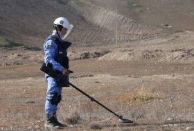 На освобожденных территориях обнаружено еще 94 мины