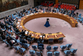 СБ ООН отклонил проармянскую резолюцию Франции