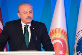 Шентоп: Анкара выступает за решительные шаги в борьбе с терроризмом