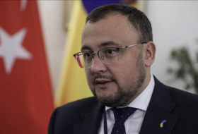 Посол Украины опроверг утверждения о якобы поставках кассетных боеприпасов из Турции