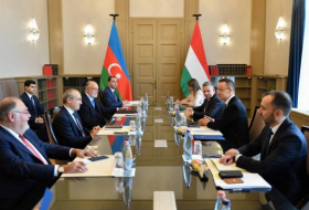 Азербайджан и Венгрия обсудили сотрудничество в восстановлении освобожденных территорий