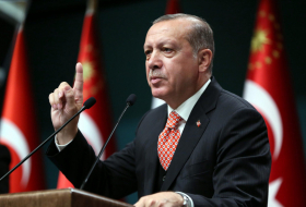 Эрдоган: Успех турецких БПЛА в Карабахе и Ливии меняет правила ведения войны в мире