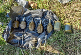В Баку обнаружено 8 ручных гранат